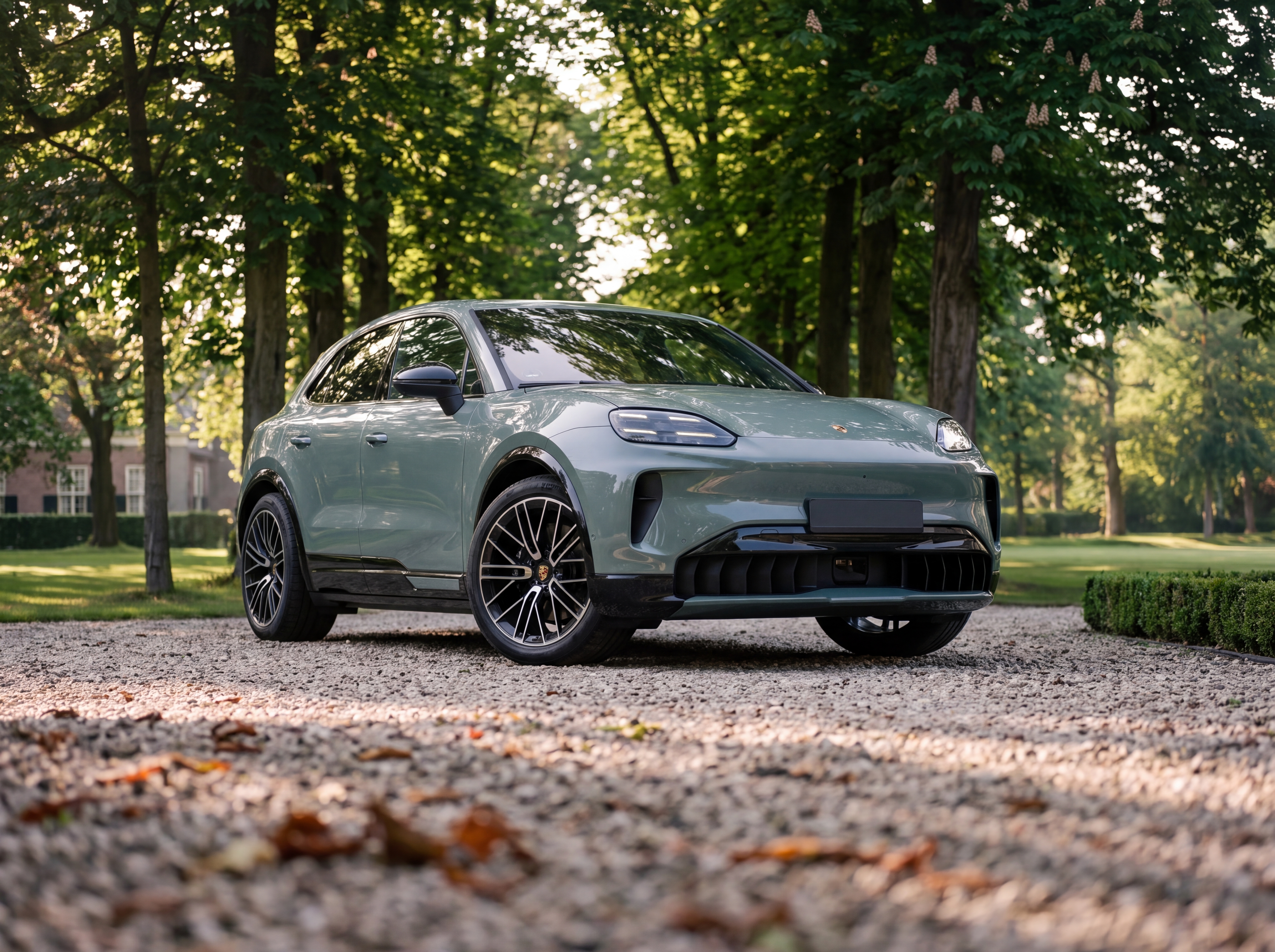 Porsche Cayenne Electric 442 pk